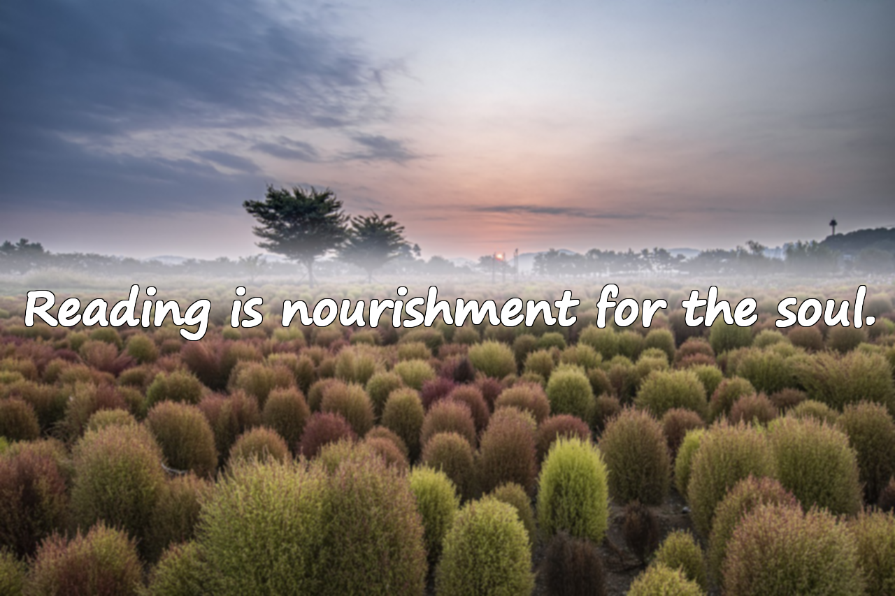 Quotes About Reading Books