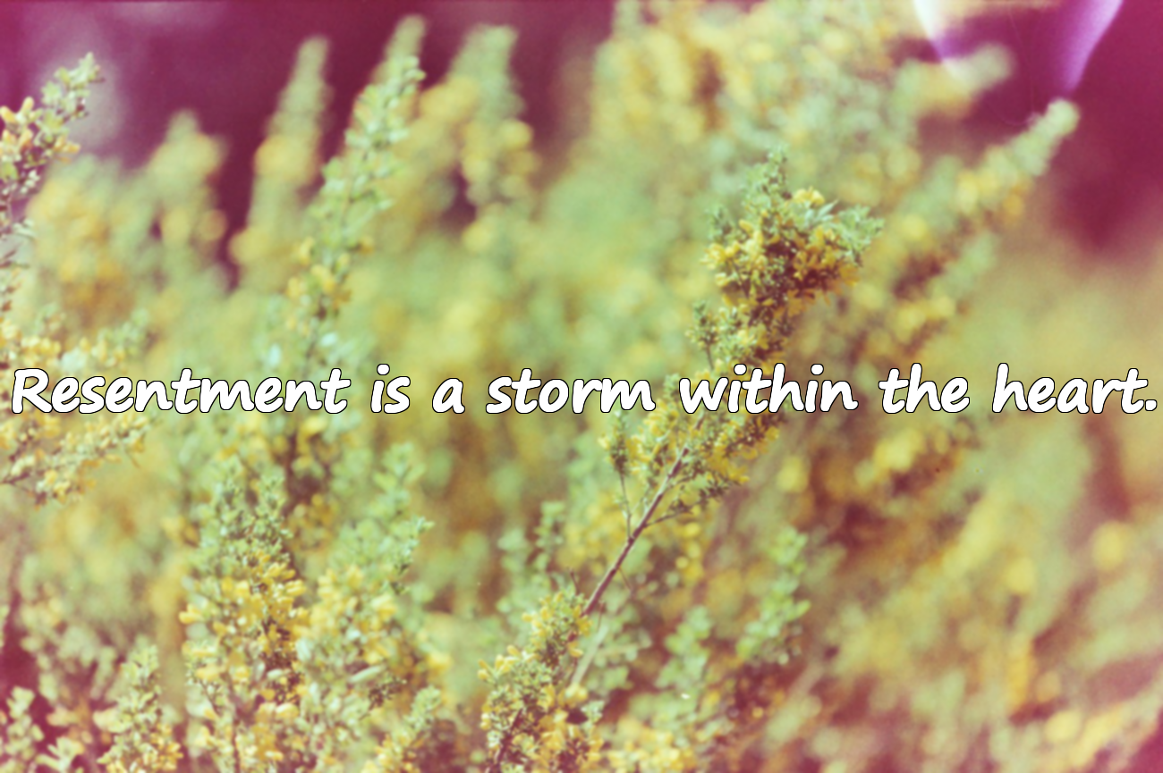 Quotes About Resentment