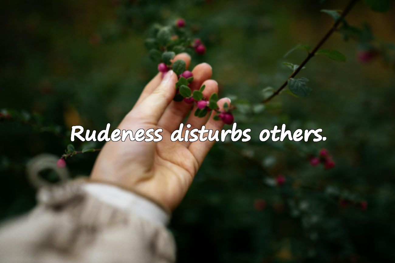 Quotes About Rudeness