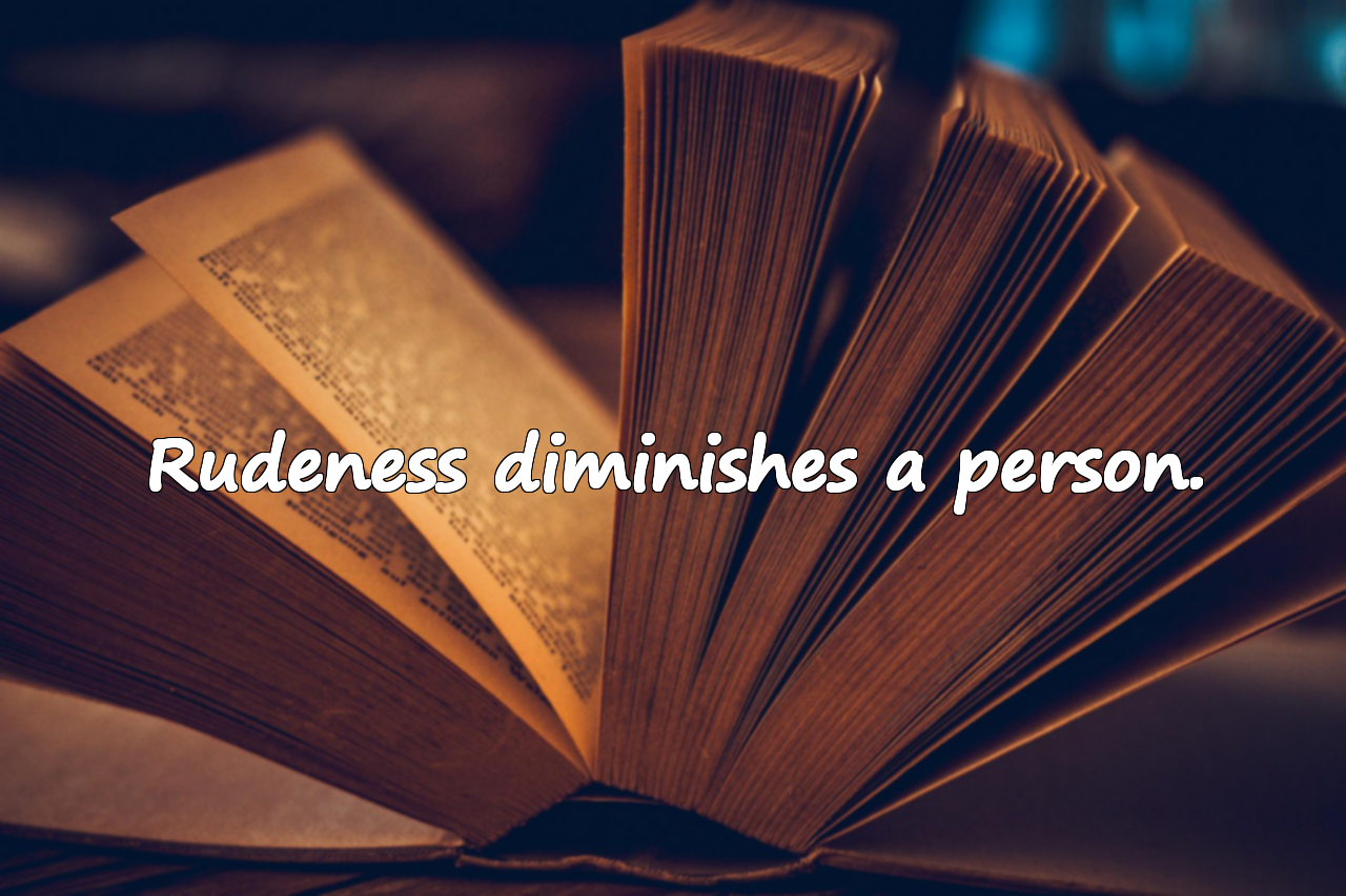 Quotes About Rudeness
