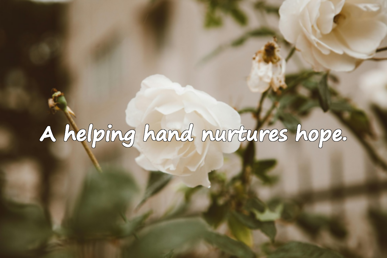 Quotes About Sharing and Helping