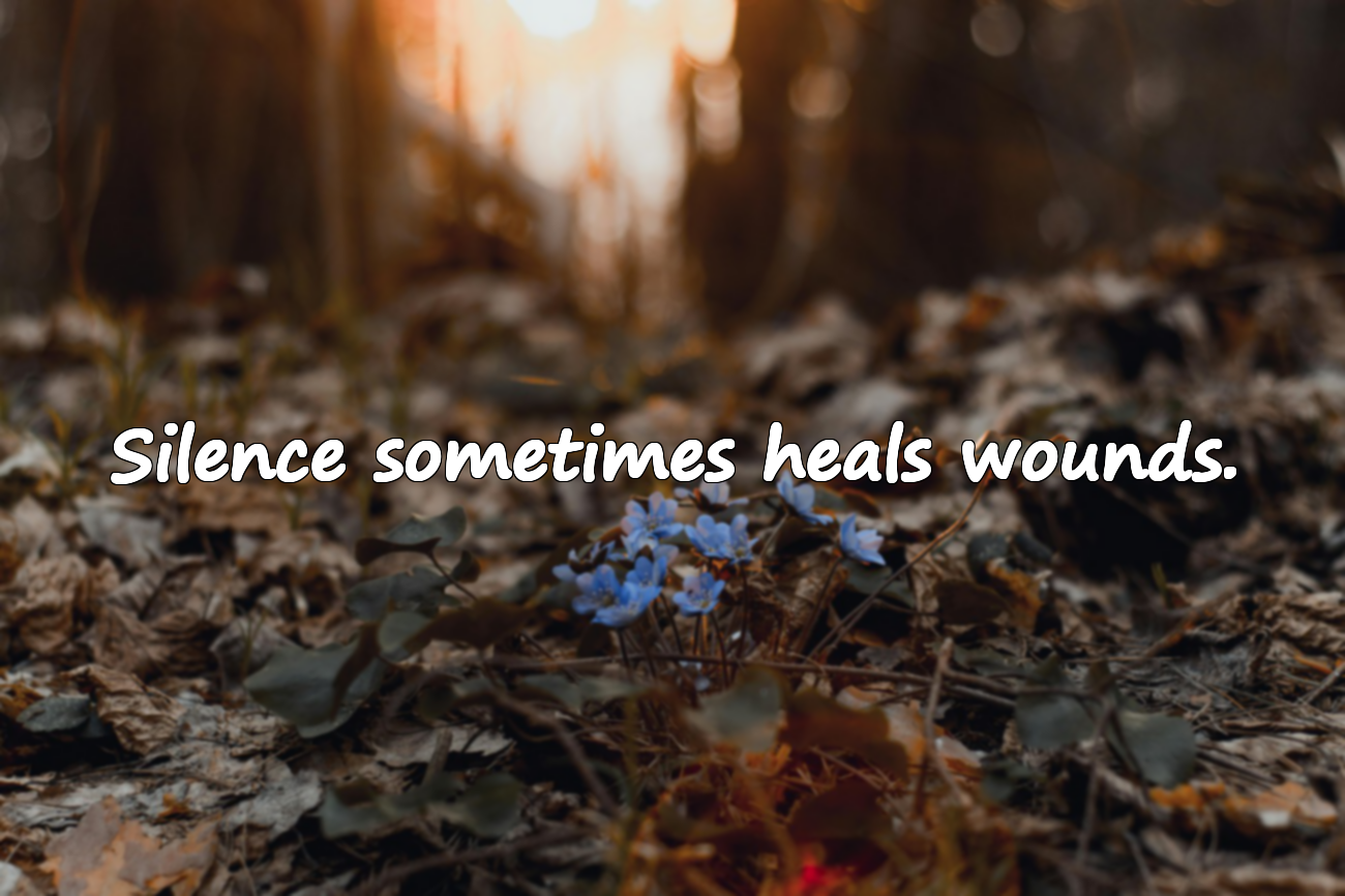 Quotes About Silence