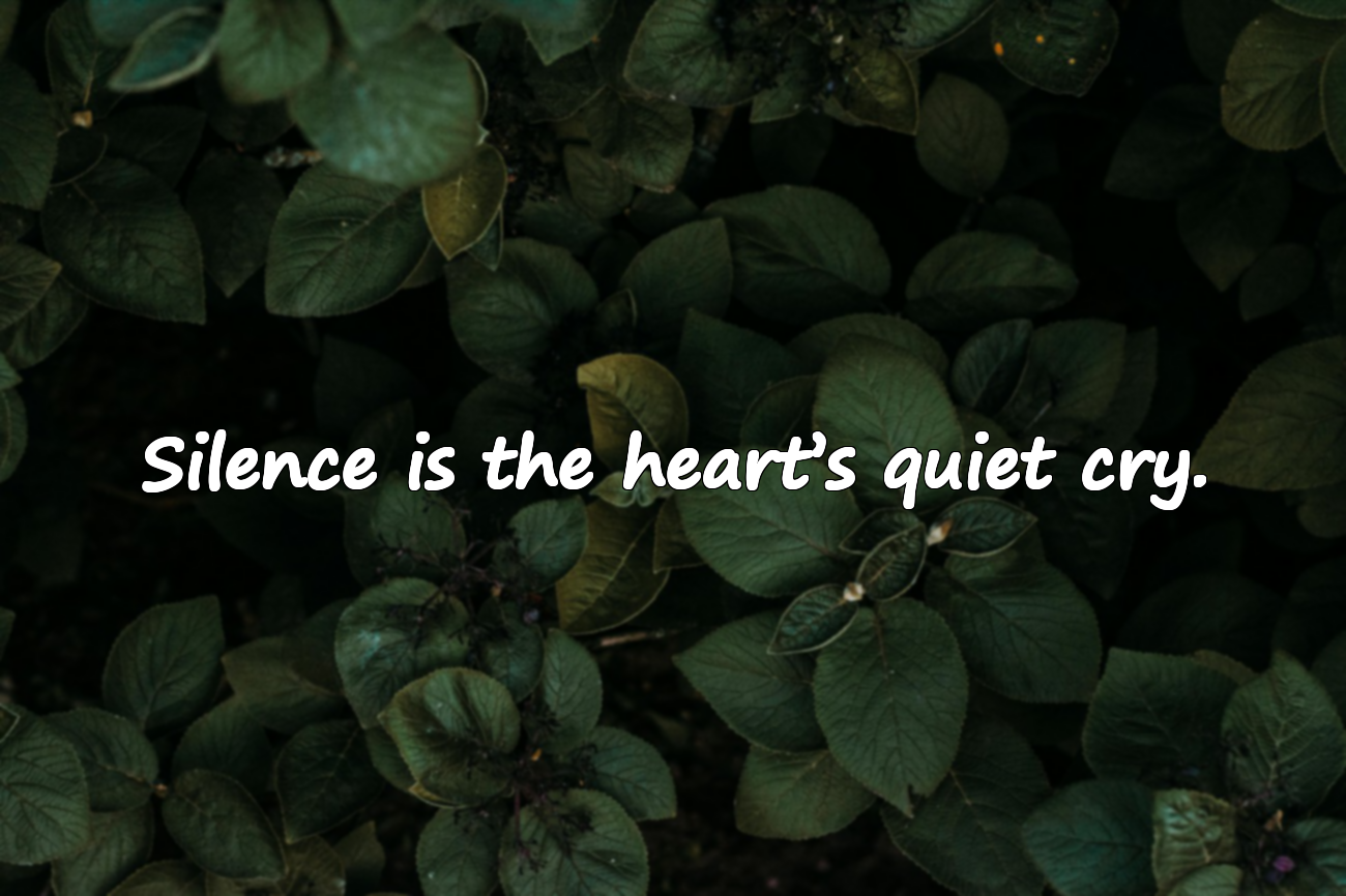 Quotes About Silence