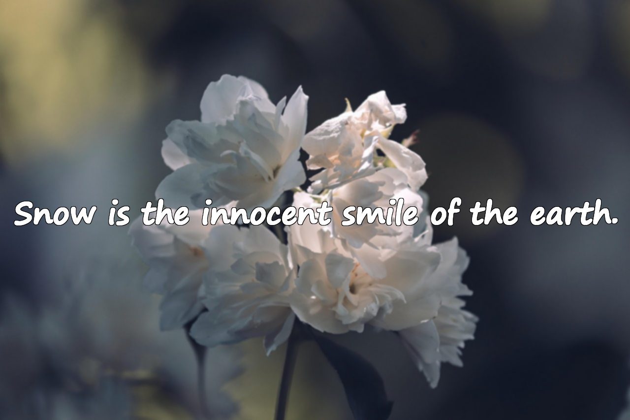 Quotes About Snow