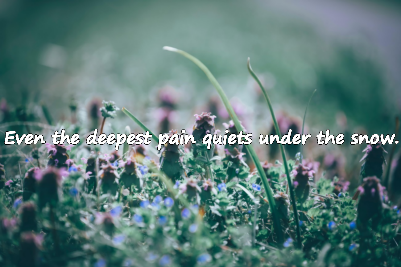 Quotes About Snow