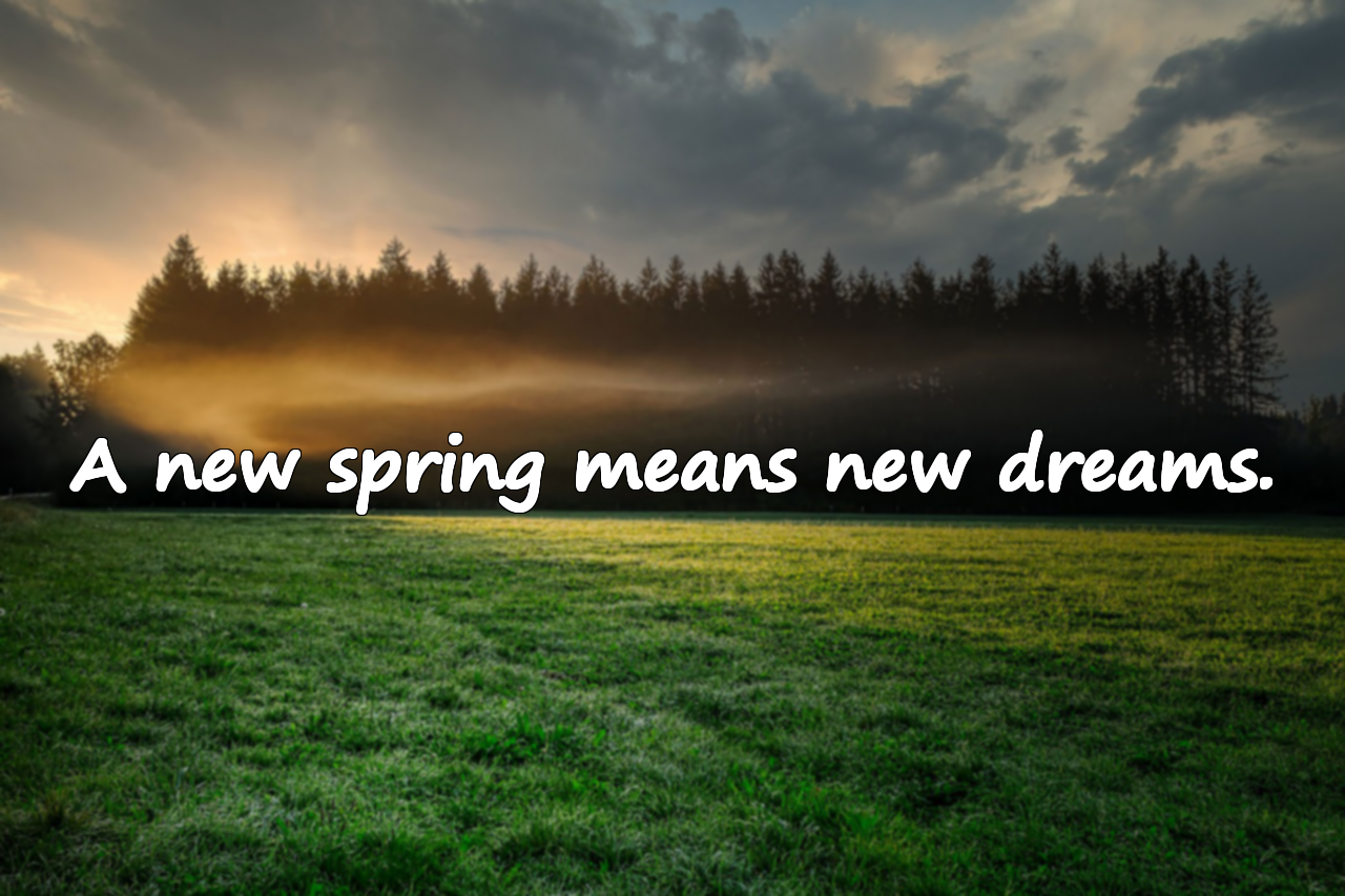 Quotes About Spring