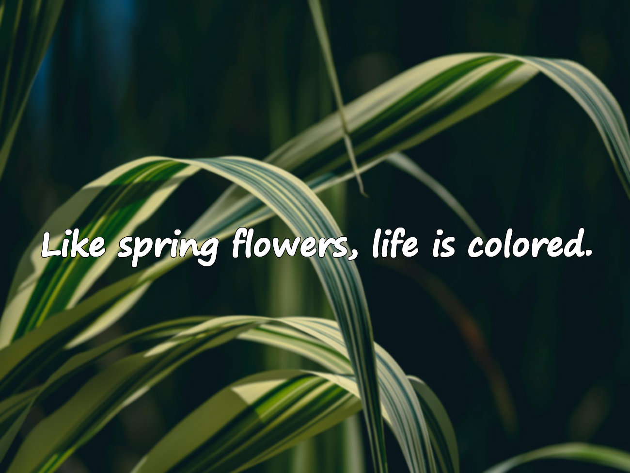 Quotes About Spring