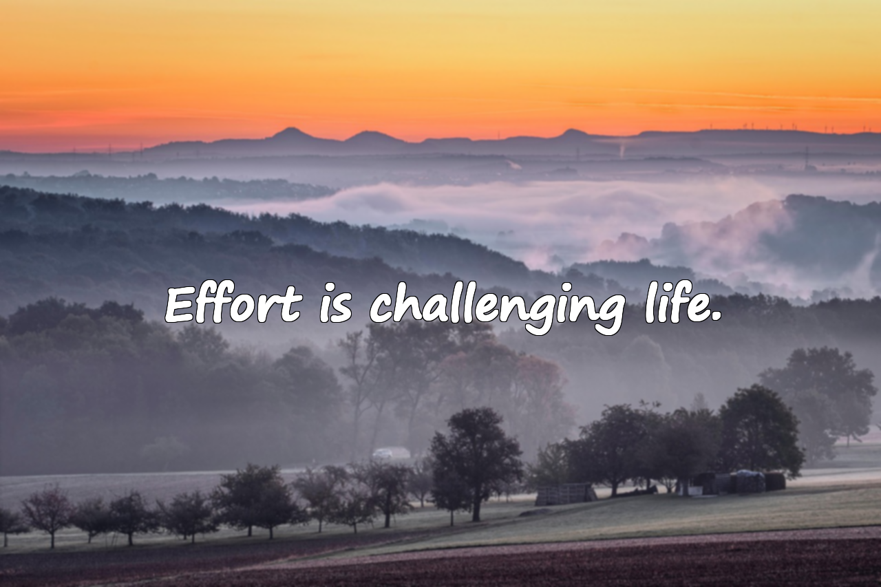 Quotes About Striving