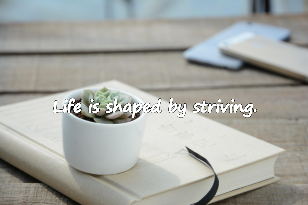Quotes About Striving