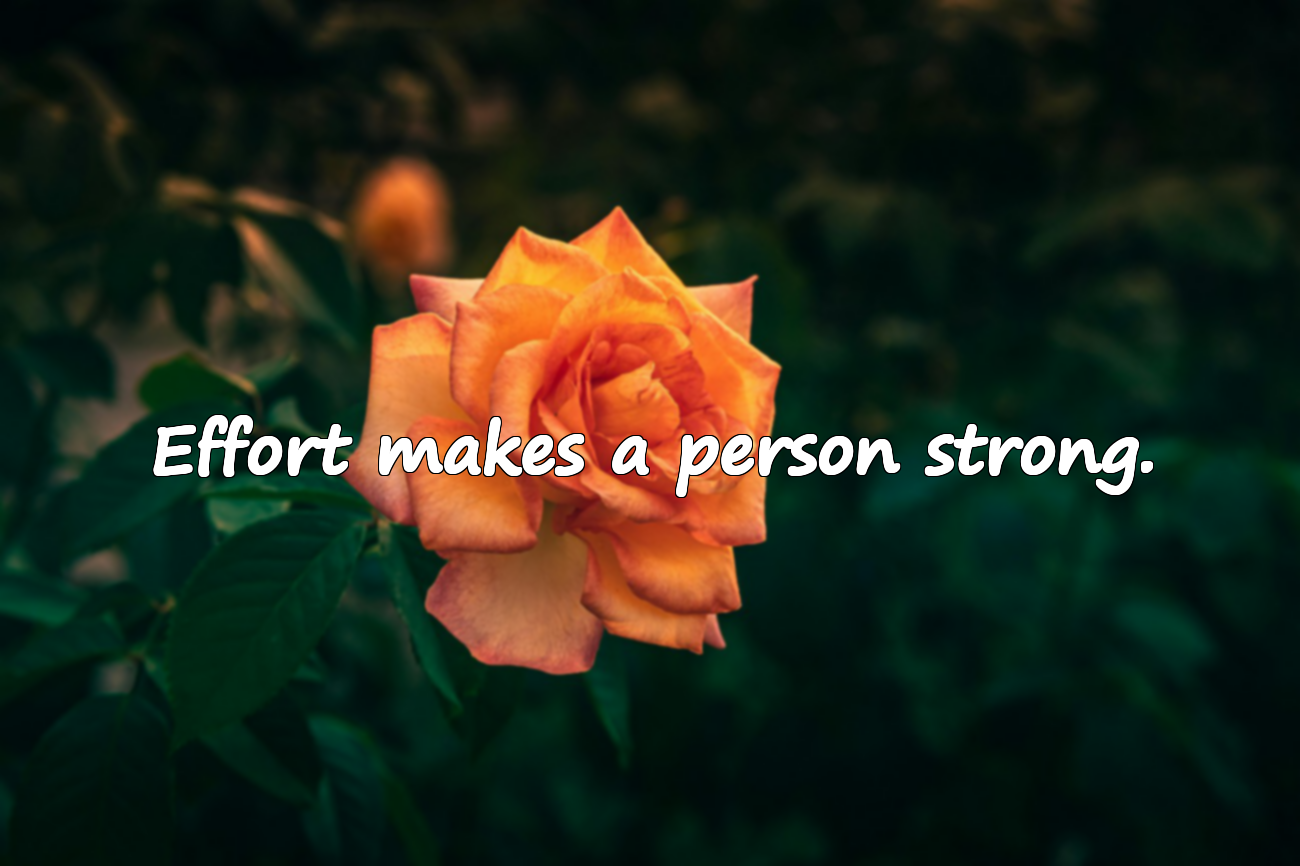 Quotes About Striving