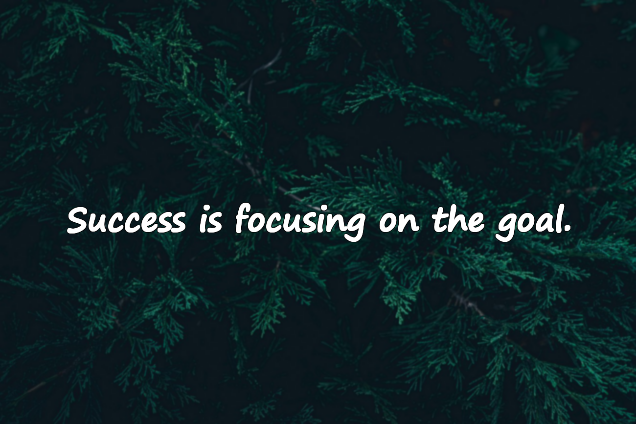 Quotes About Success