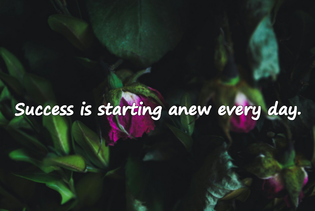 Quotes About Success