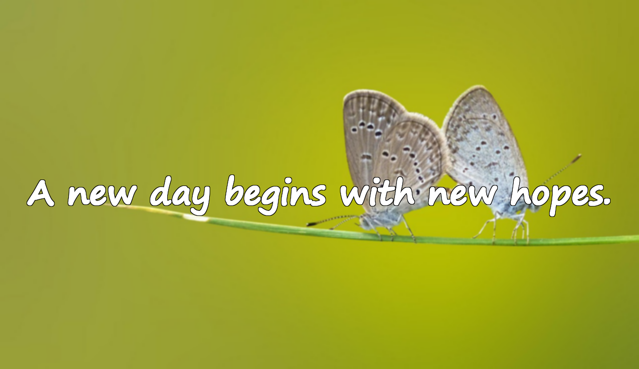 Quotes About Sunrise
