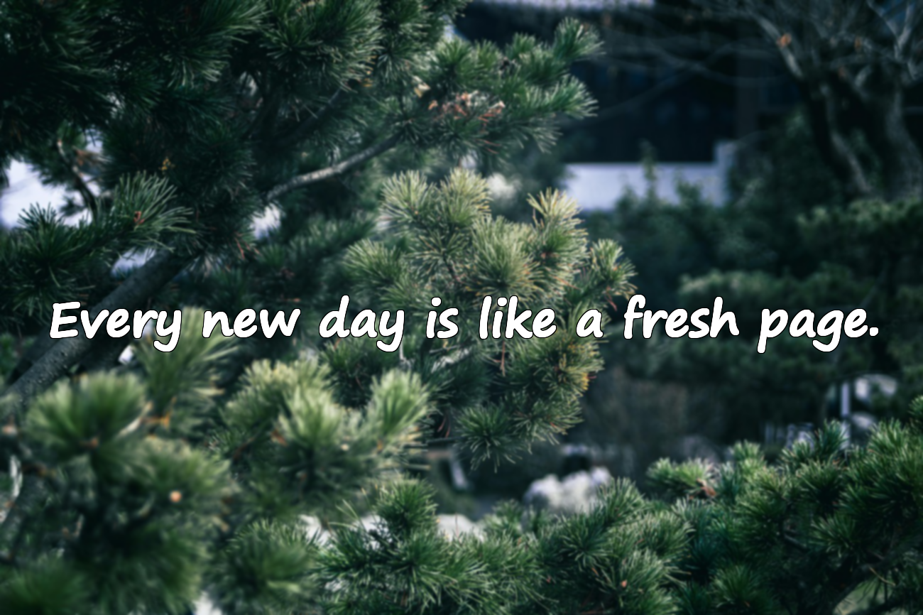 Quotes About Sunrise