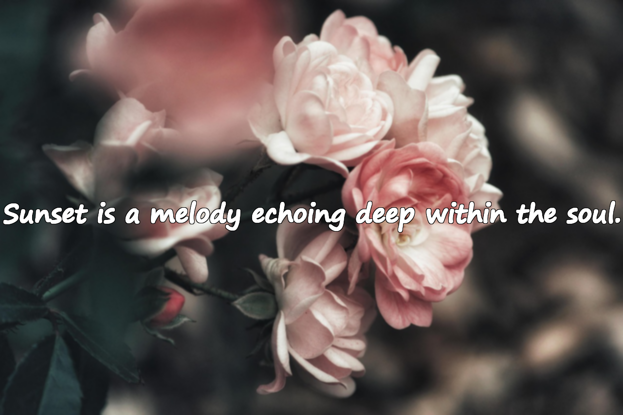 Quotes About Sunset