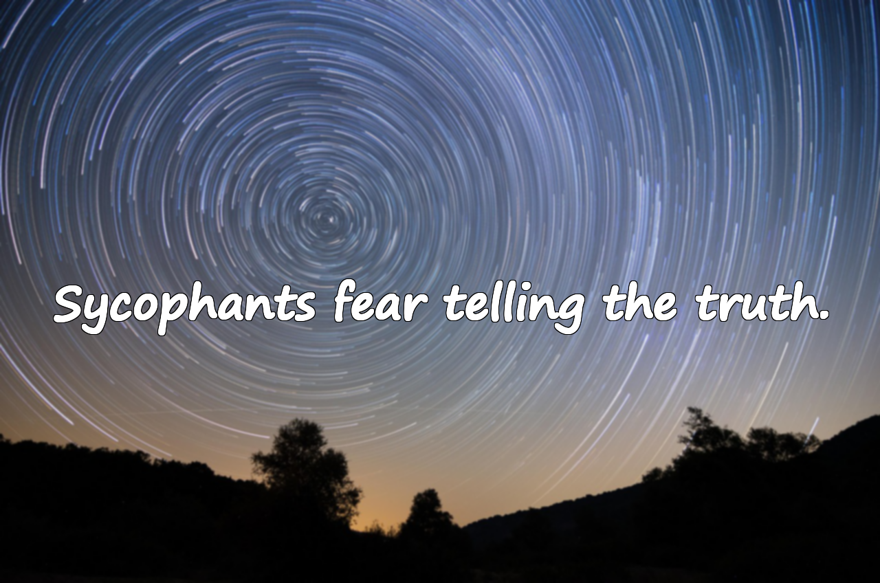 Quotes About Sycophants