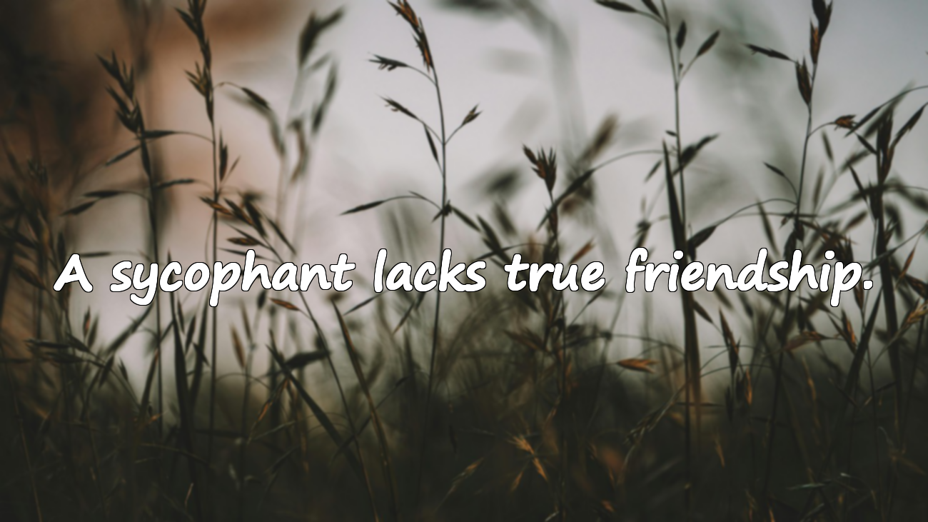 Quotes About Sycophants