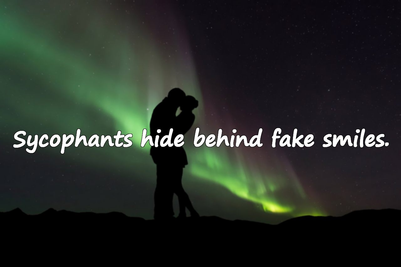 Quotes About Sycophants