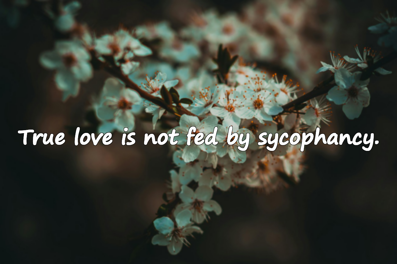 Quotes About Sycophants