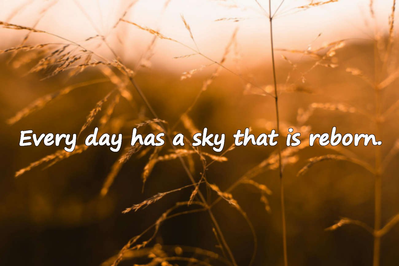 Quotes About The Sky