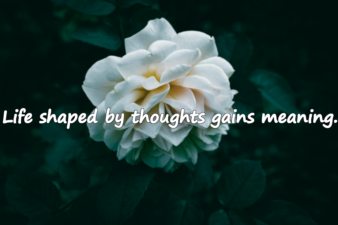 Quotes About Thinking