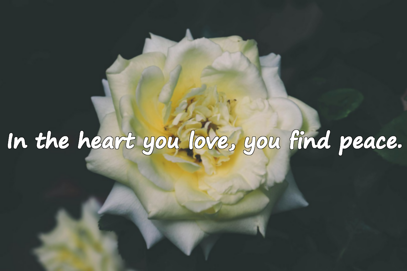 Quotes About the Heart