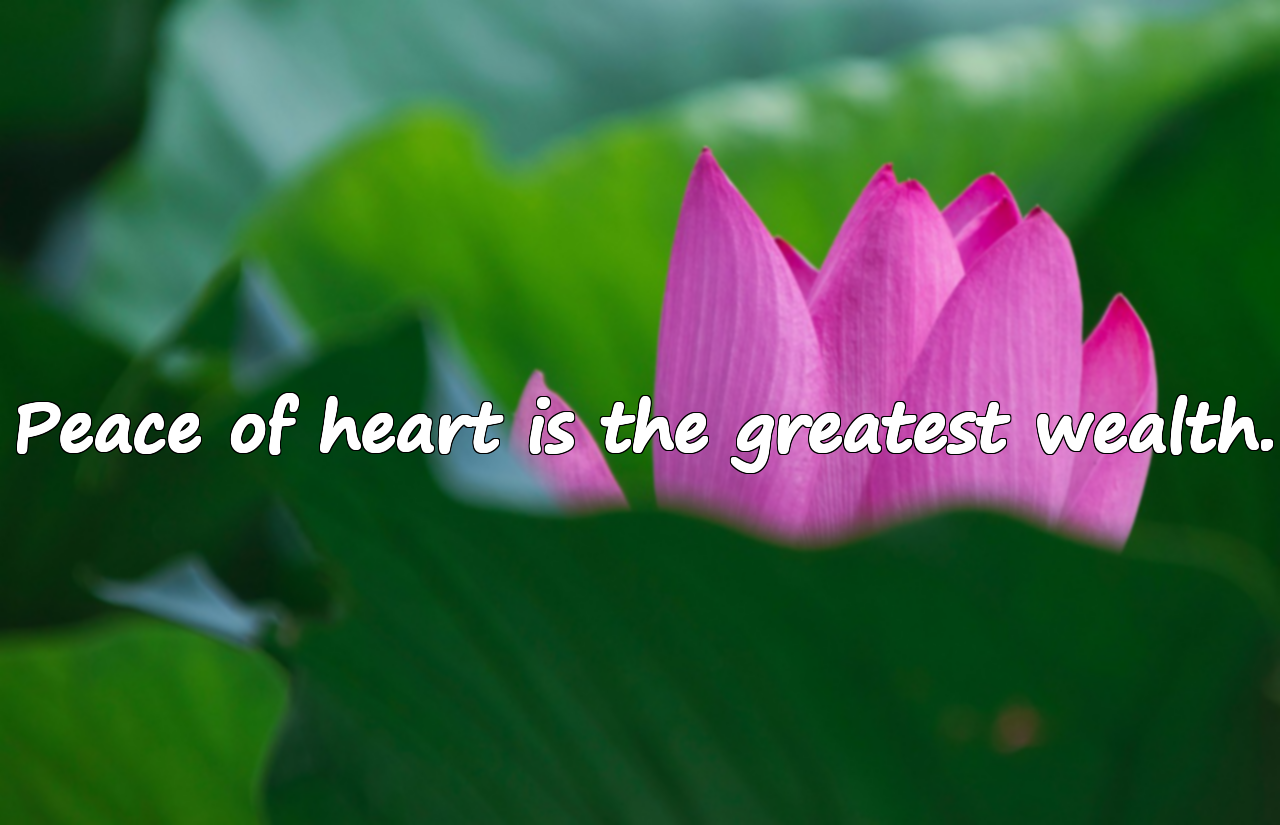 Quotes About the Heart