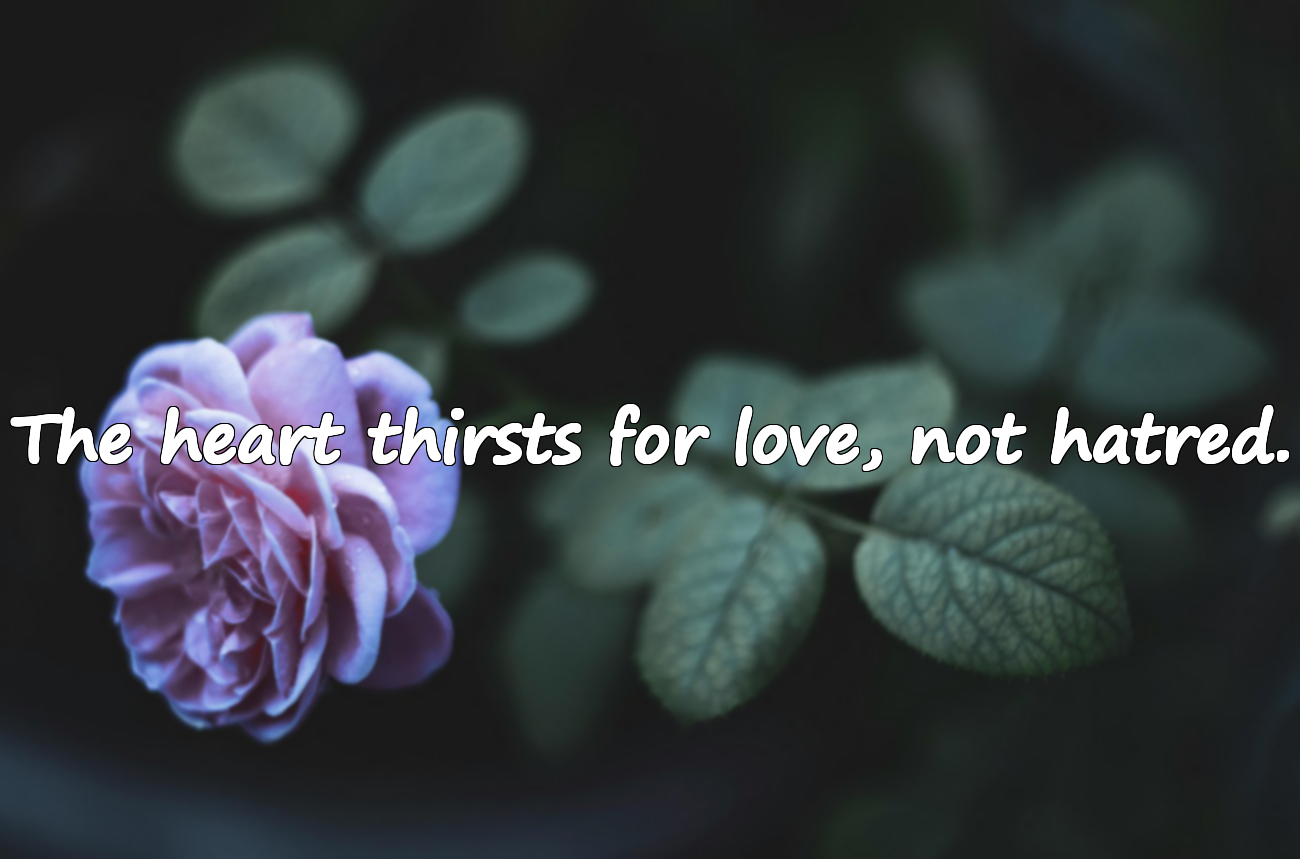 Quotes About the Heart