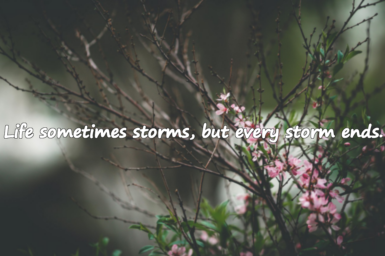 Quotes About the Sea