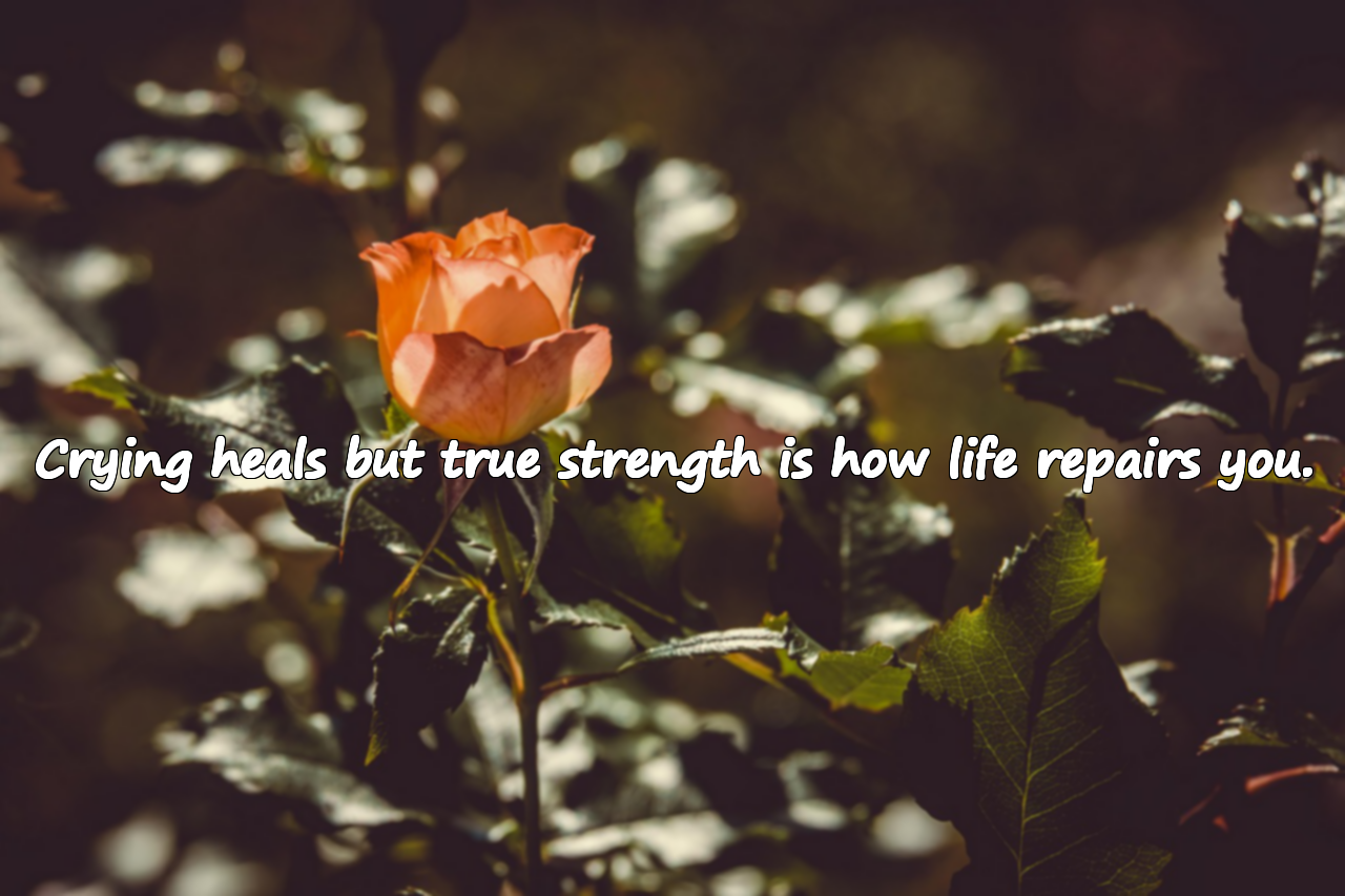 Quotes about Crying