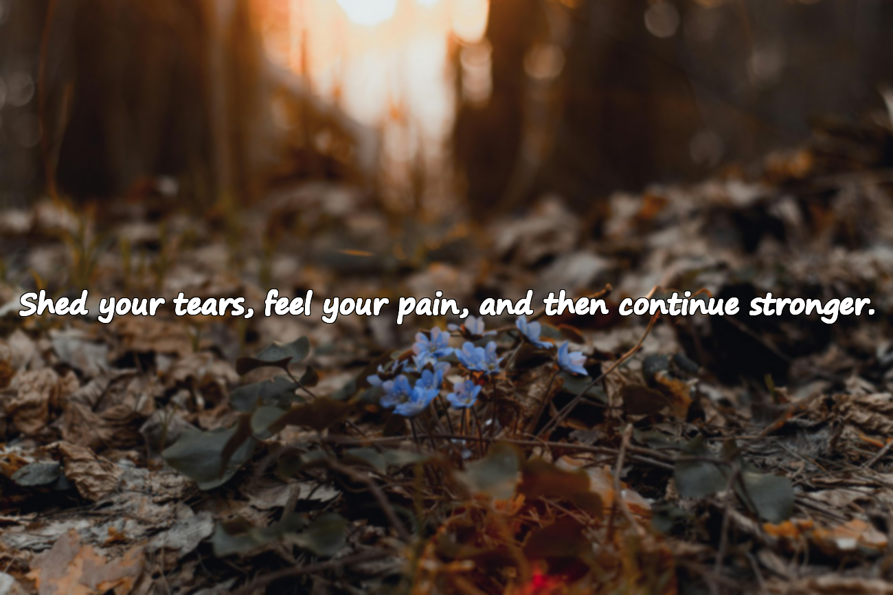 Quotes about Crying