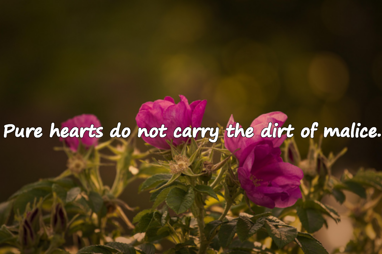 Quotes about Malice