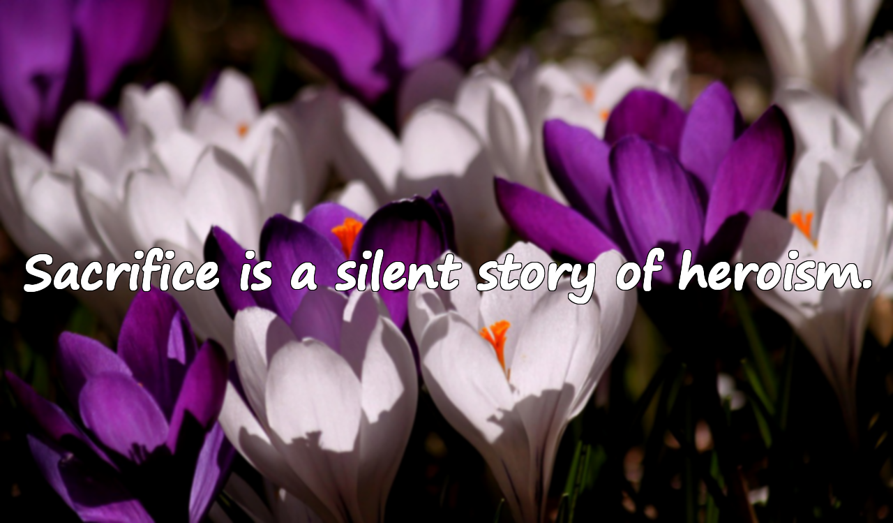 Quotes about Sacrifice