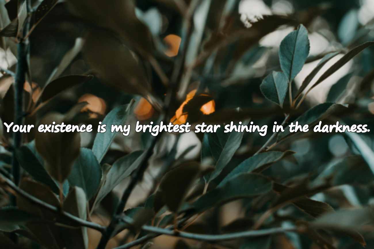 Quotes for Lover
