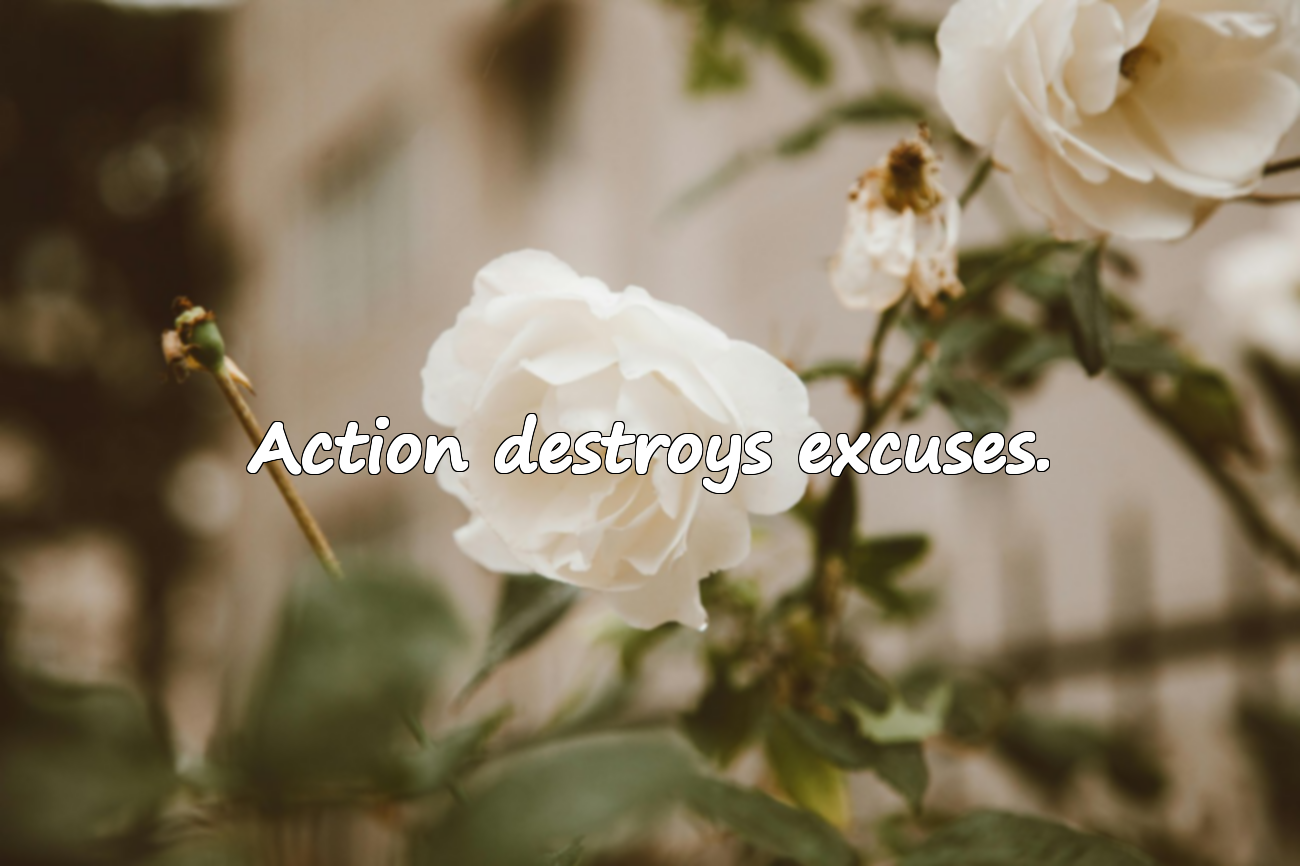 Quotes on Excuses