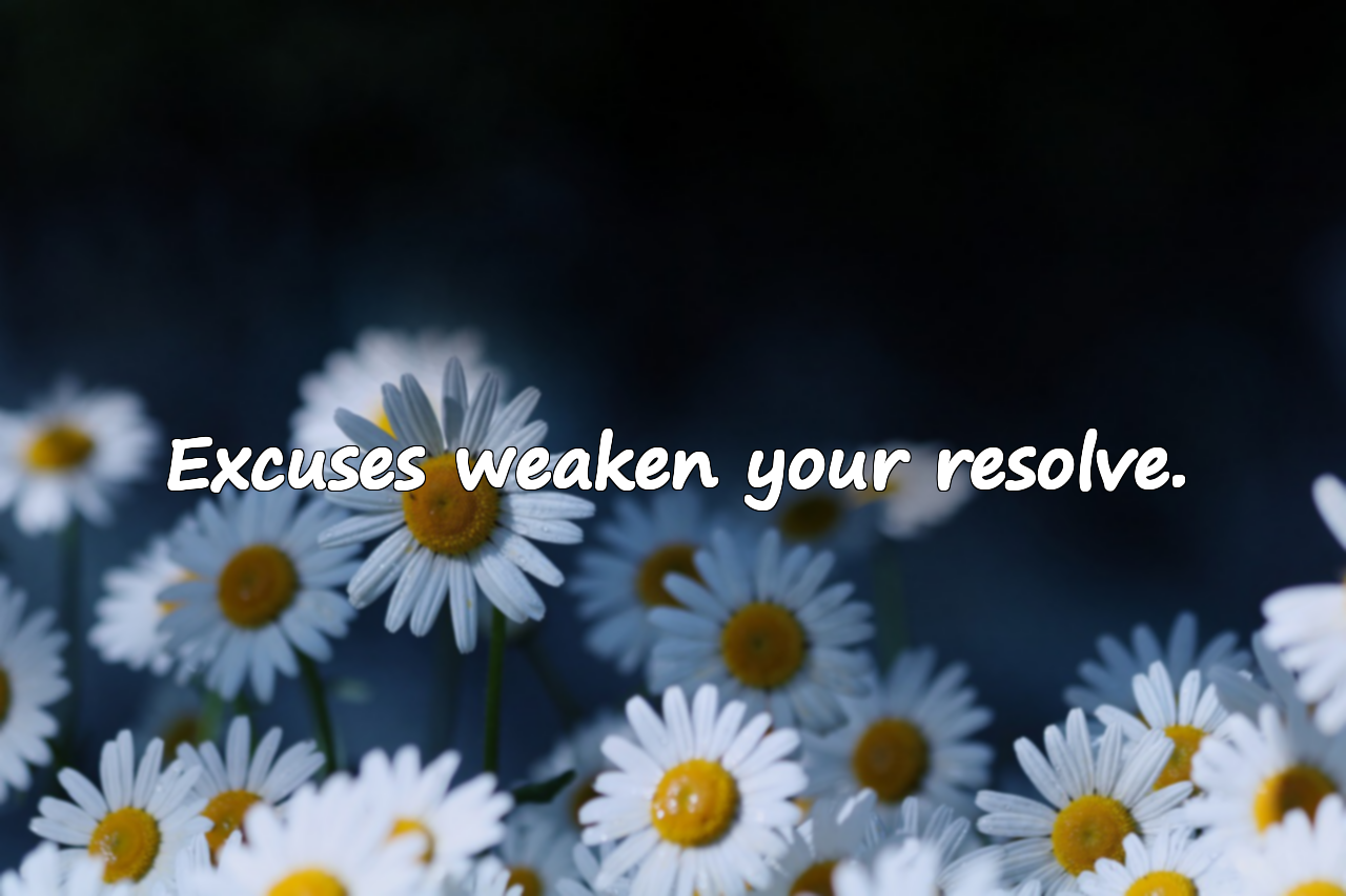 Quotes on Excuses