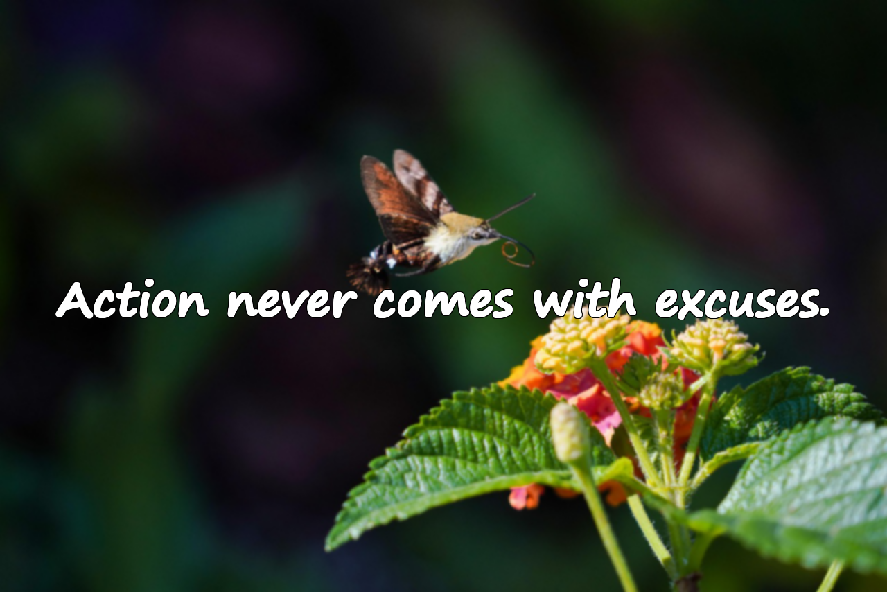 Quotes on Excuses