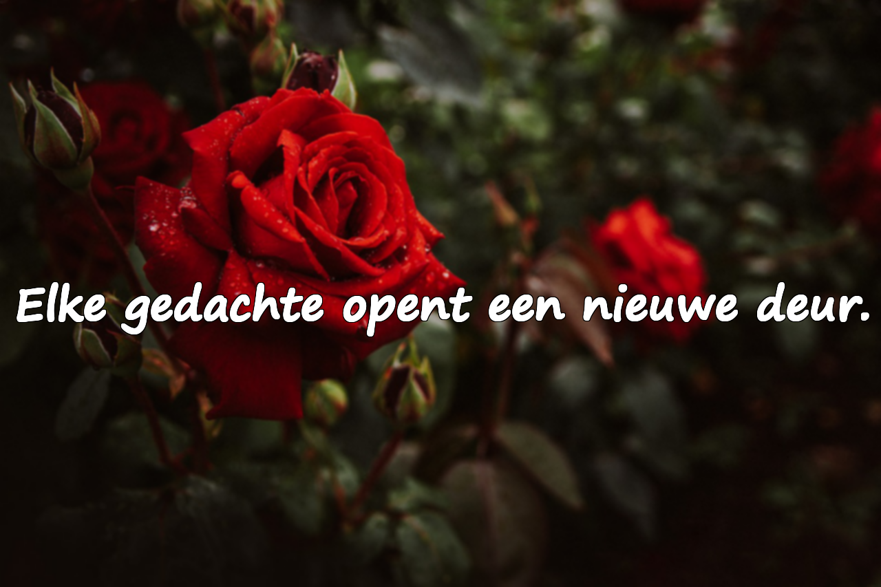 Quotes over denken