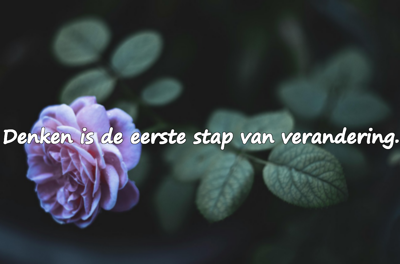 Quotes over denken
