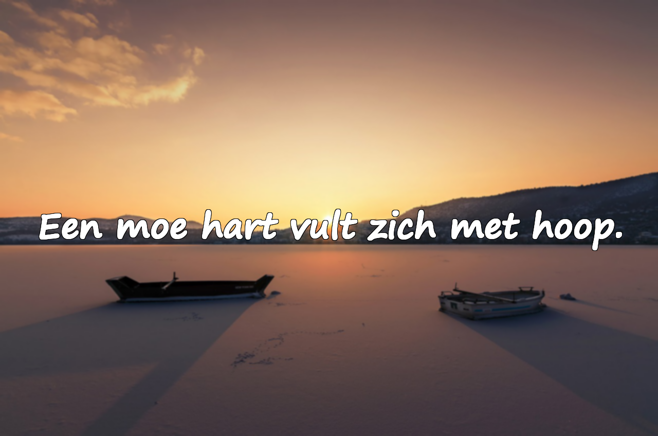 Quotes over hartvermoeidheid