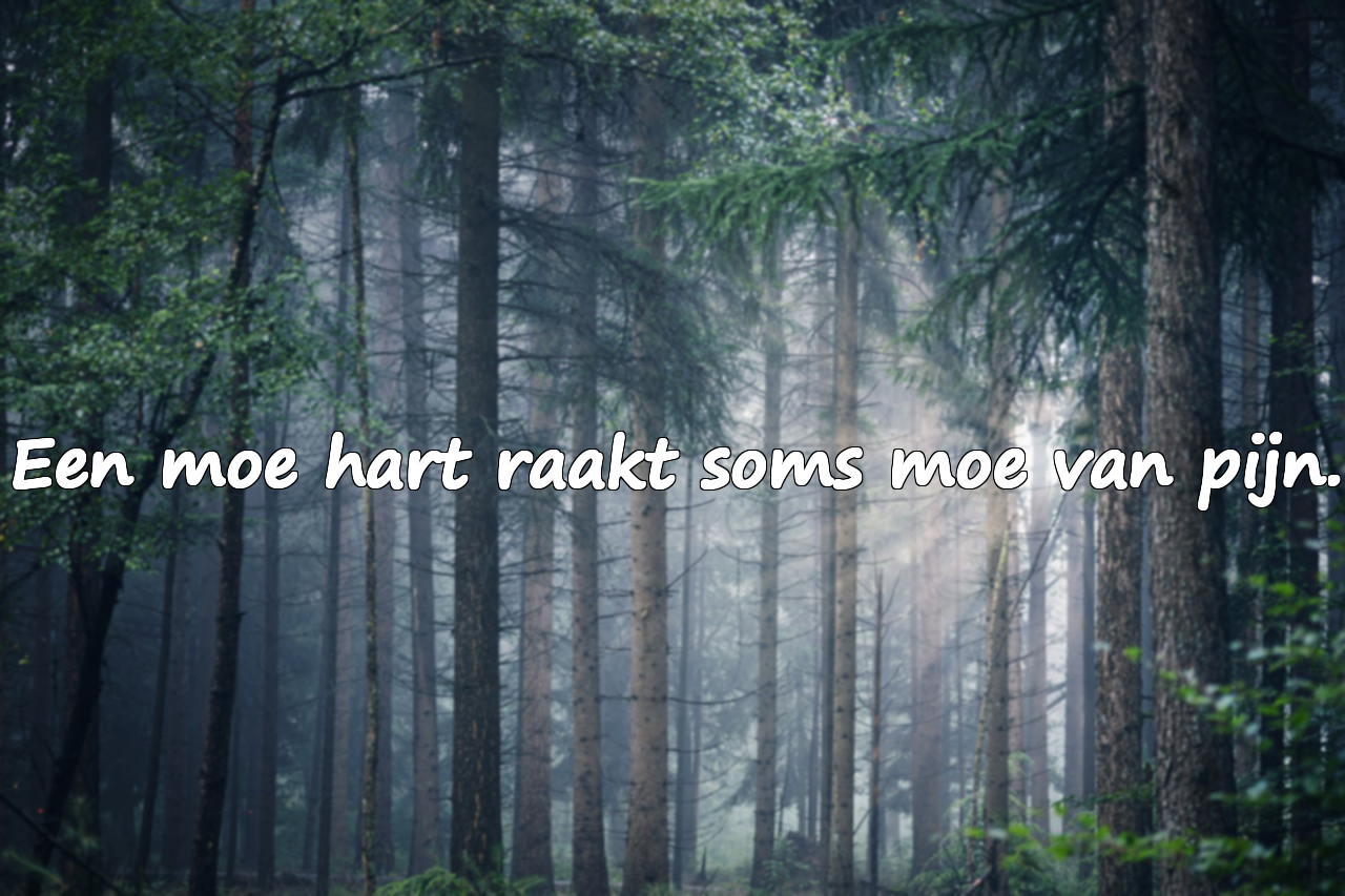 Quotes over hartvermoeidheid
