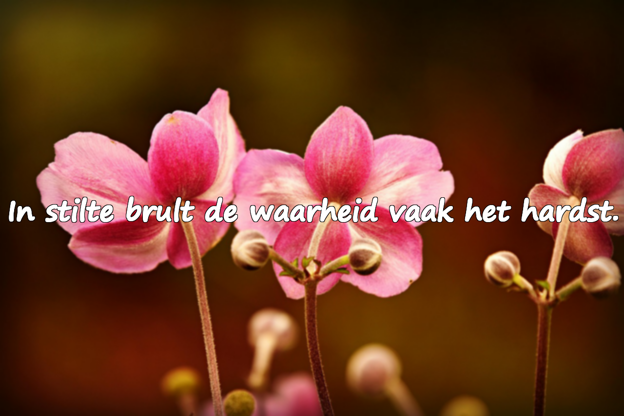 Quotes over waarheid