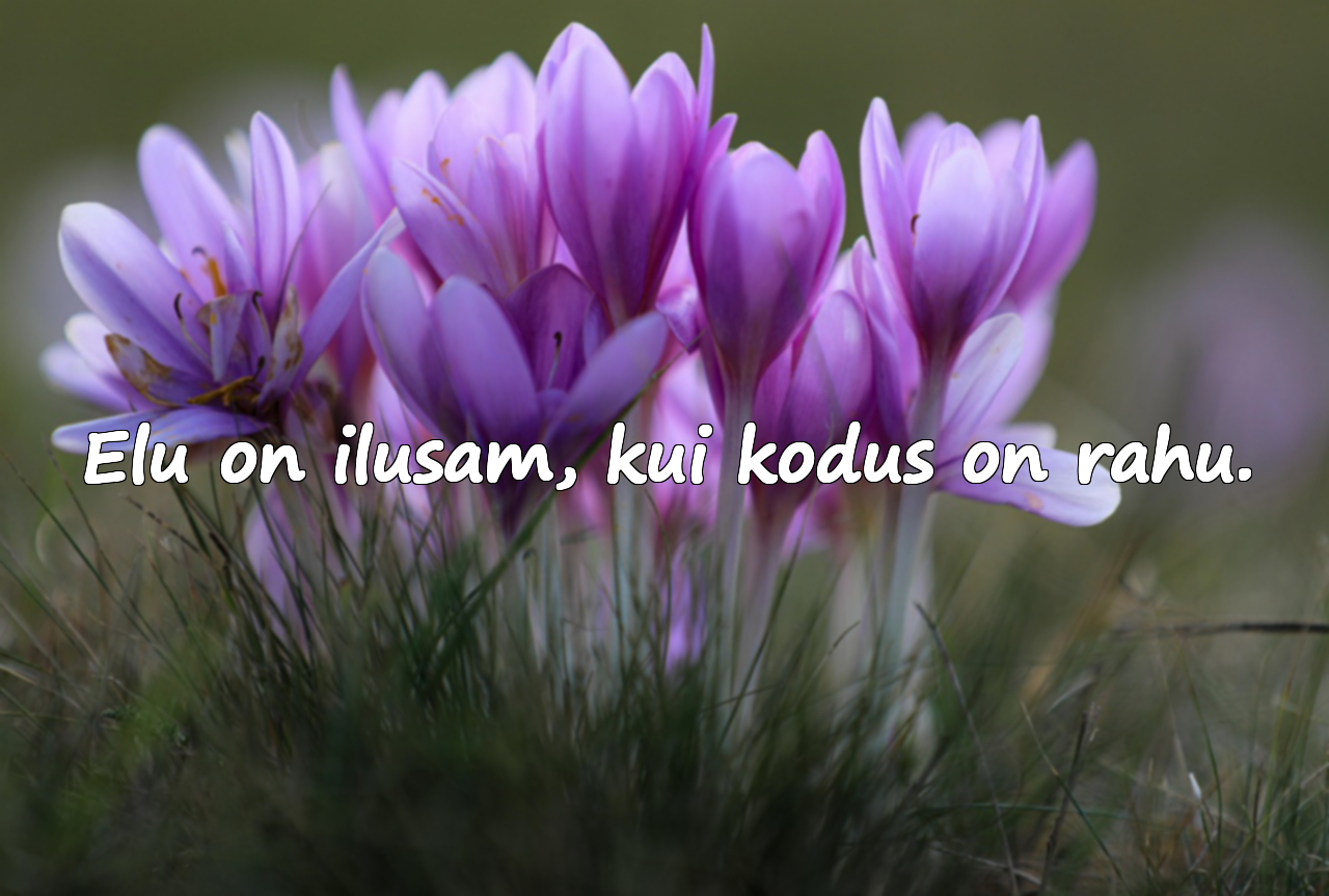 Rahu Sõnad Perekondadele