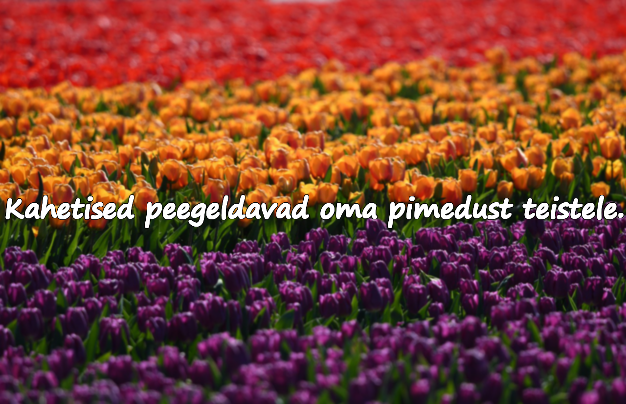 Rasked ja pealetükkivad sõnad kahetistele inimestele