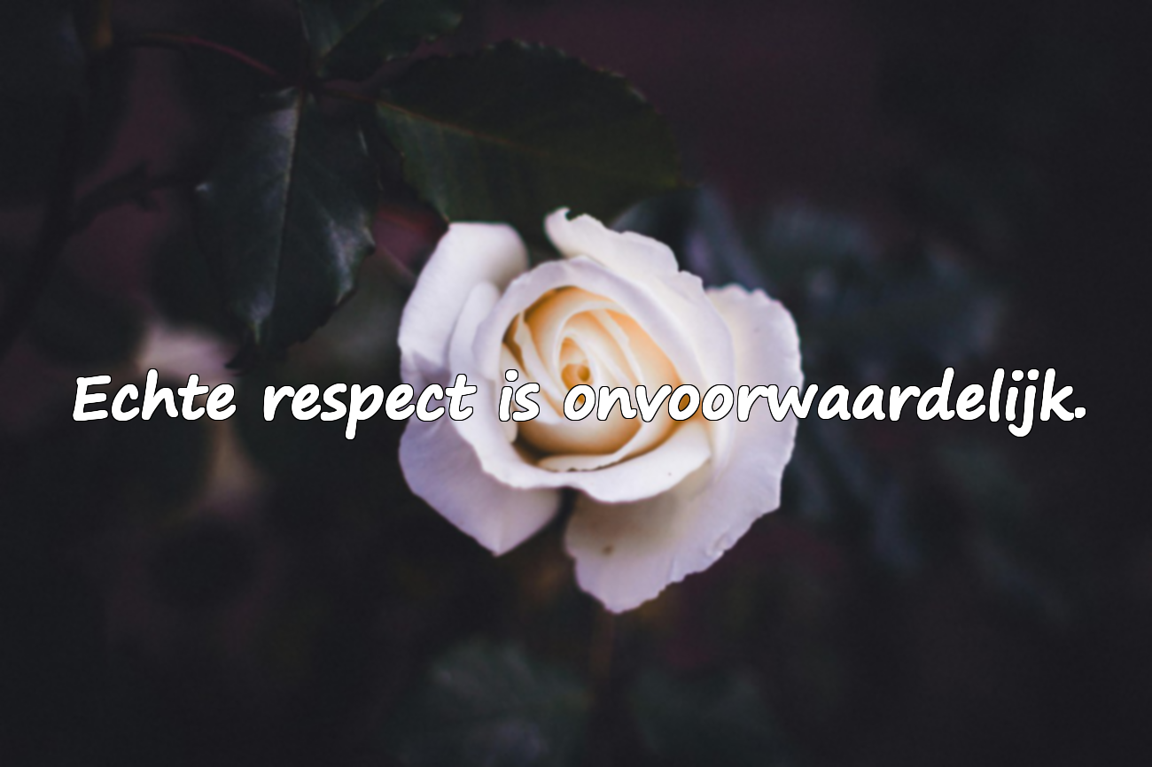 Respectvolle citaten
