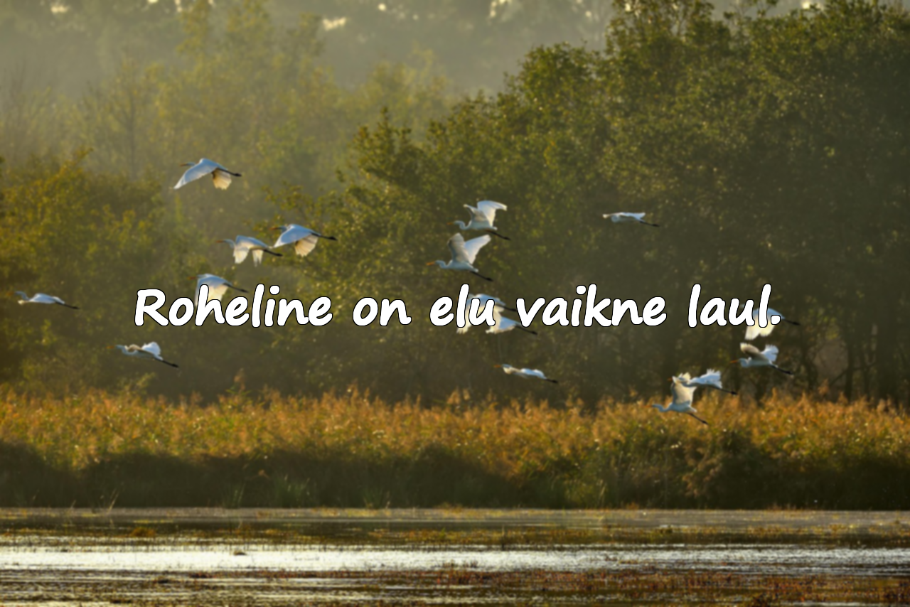 Roheluse ja Looduse Tsiteeringud