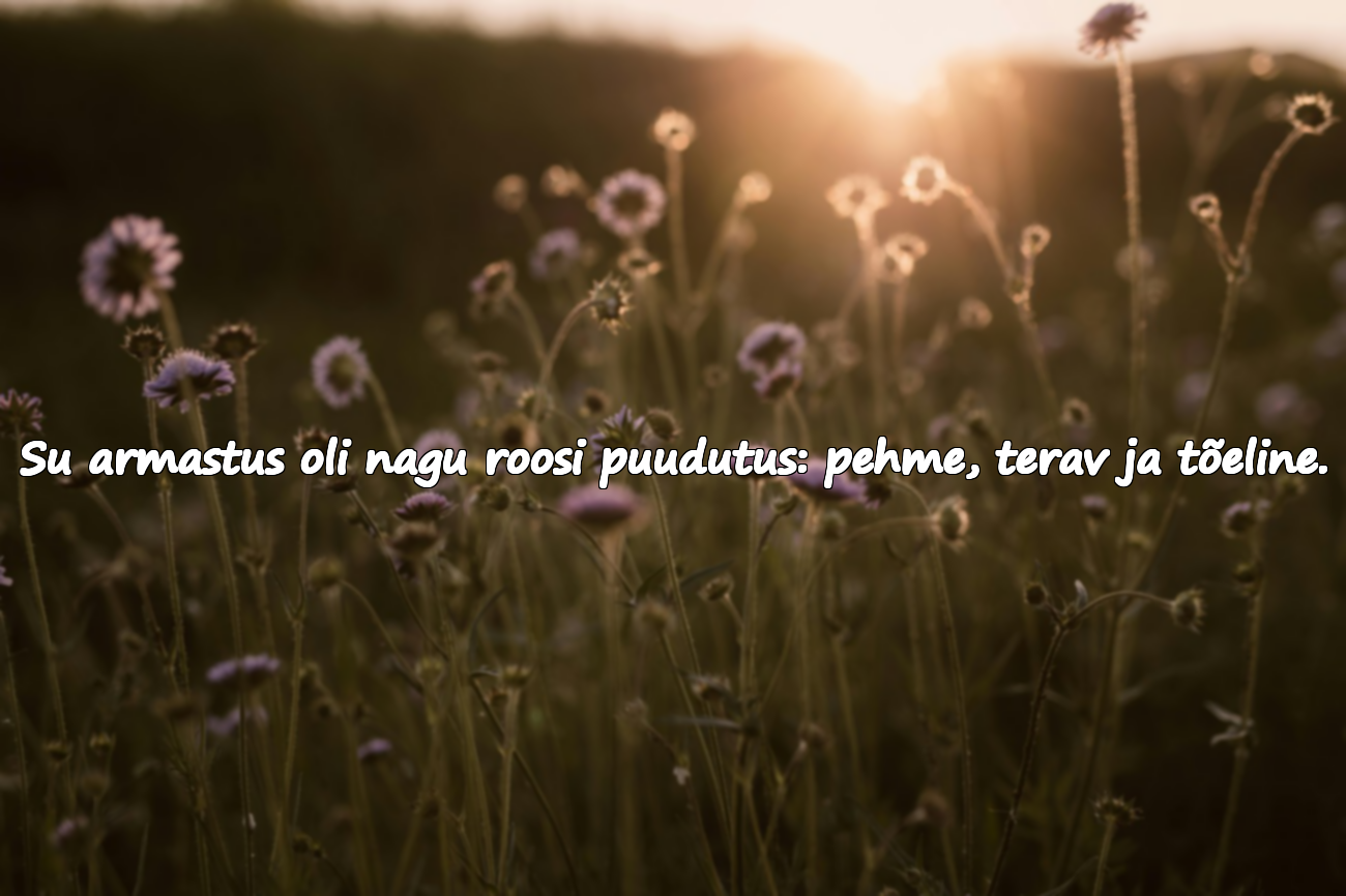 Roosiga Seotud Armastuslikud Ütlused