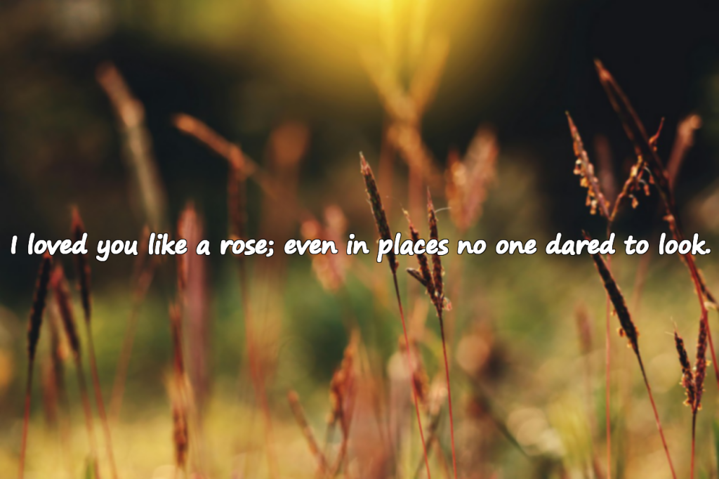 Rose-Like Love Compliments