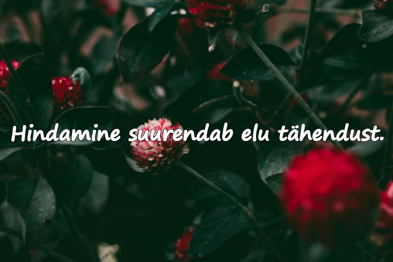 Sõnad Hindamise Kohta