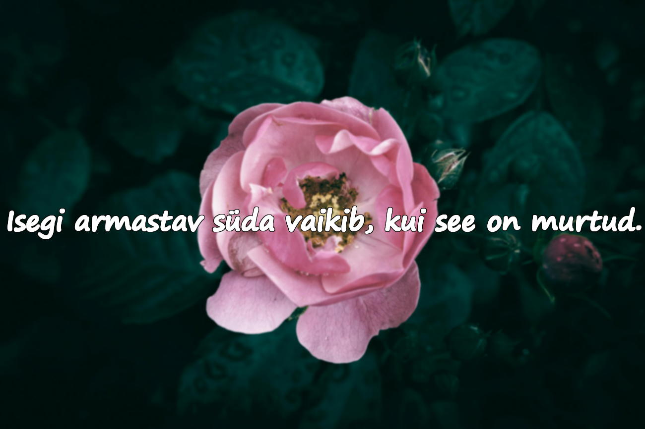 Sõnad Haavatasaamise Kohta
